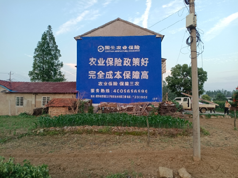  凤冈墙体广告的优劣势你知道吗？